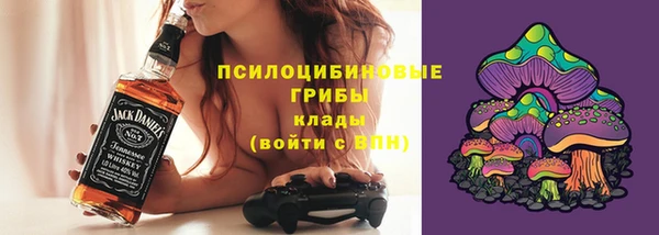 ПСИЛОЦИБИНОВЫЕ ГРИБЫ Надым